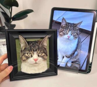 our pet case
