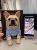 our pet case