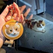 leather pet case