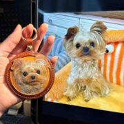 leather pet case