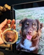 leather pet case