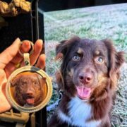 leather pet case