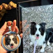 leather pet case